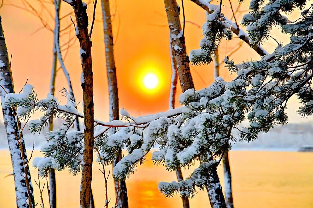 Январский утренний порой по снегу скрип веселый. Морозное утро. Зимнее утро. Снежное утро. Солнечный зимний день.