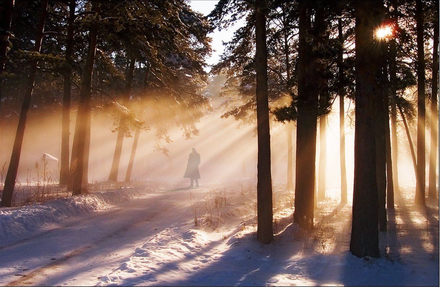 Песня утро в лесу. Зимнее утро. Зимний лес солнце. Зимний лес утром. Утренний лес.