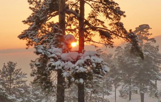 Рассвет зимой