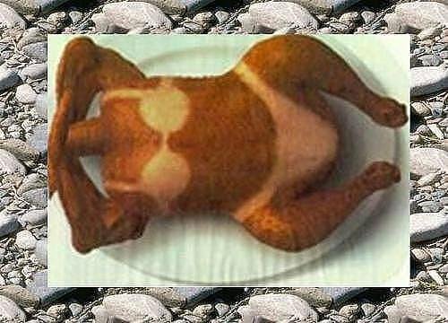 Курица загорает на пляже