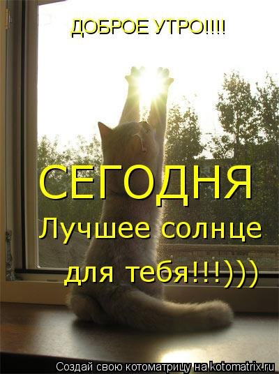 Доброе утро солнце СВКТ