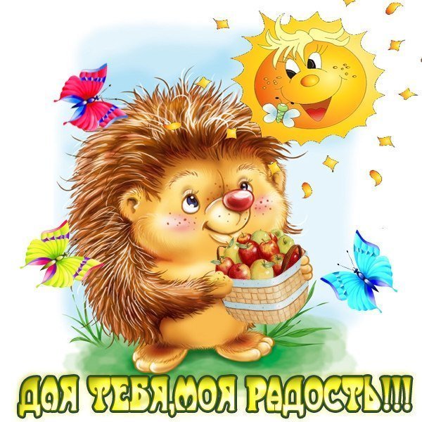 Добрый день солнышко