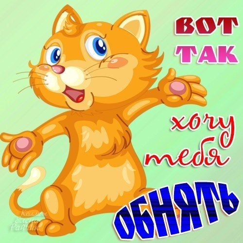 Хорошего дня солнышко