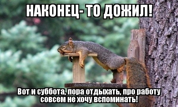Вот и выходные