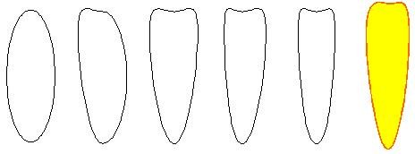 Аппликации солнце