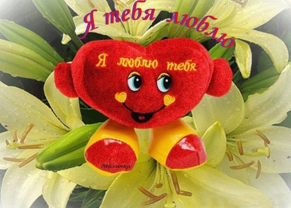 Люблю тебя солнышко моё