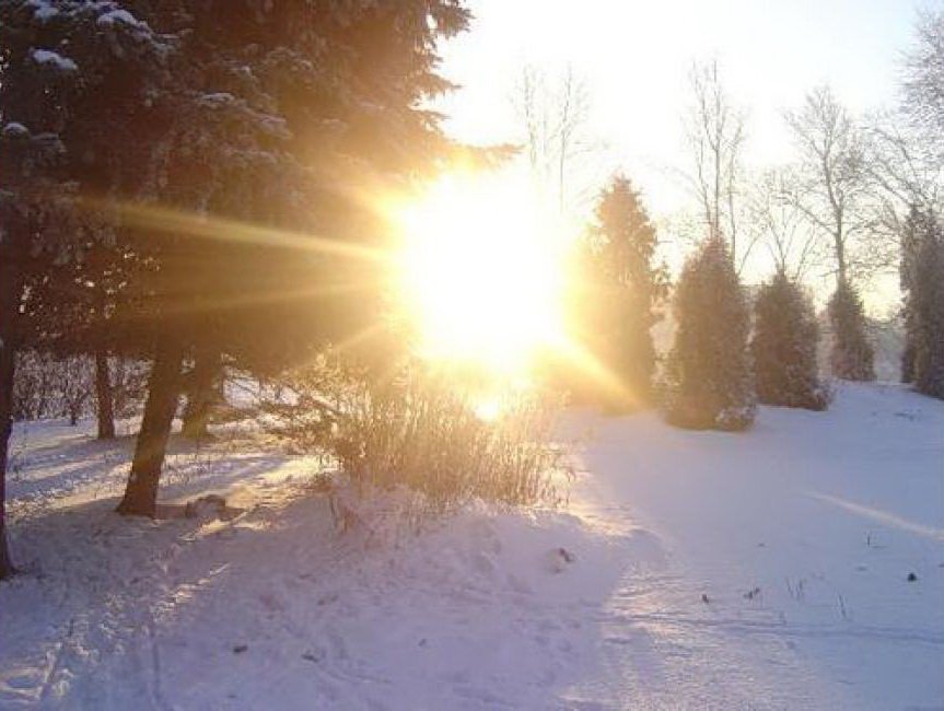 Солнце сильно пригревает. Солнечный зимний день. Солнце светит зимой. Весеннее солнце.