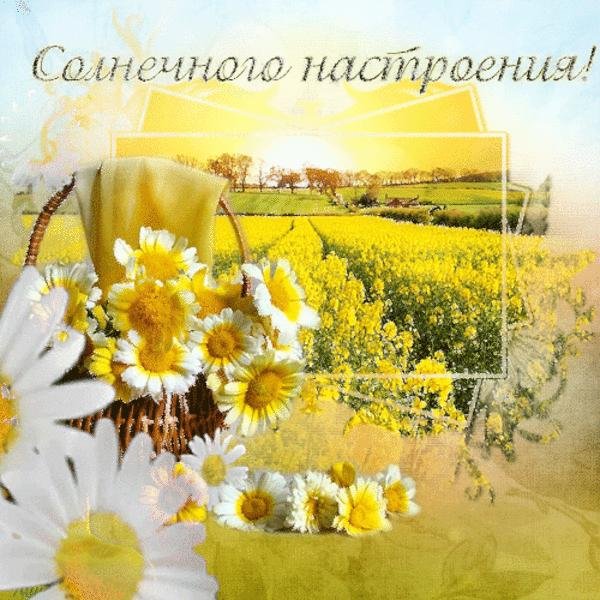 Солнечноно настроение