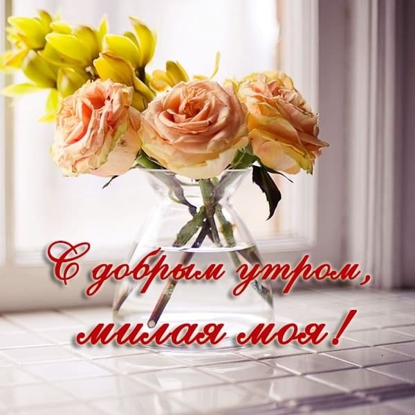 Доброе утро солнышко