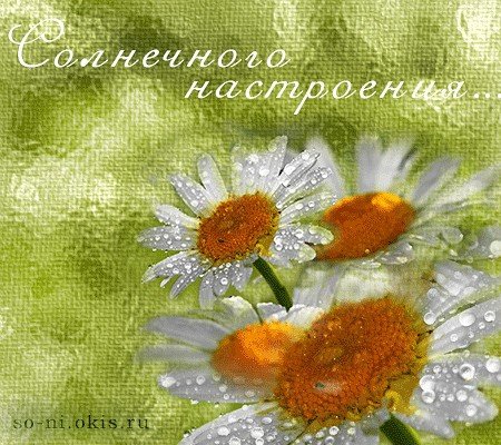 Чем больше в душе солнца тем ярче вокруг жизнь