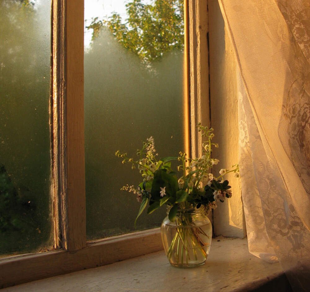 Оставил дома окно открытым. Природа за окном. У окна. Луч солнца в окне. Солнце в окне.