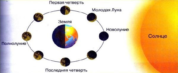 Орбита движения земли вокруг солнца