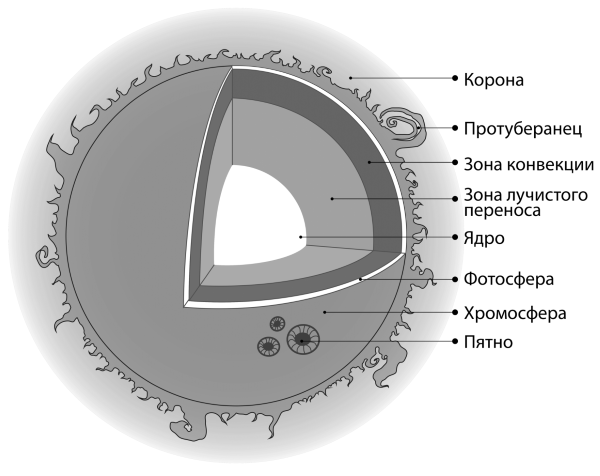 Строение солнца Фотосфера хромосфера корона