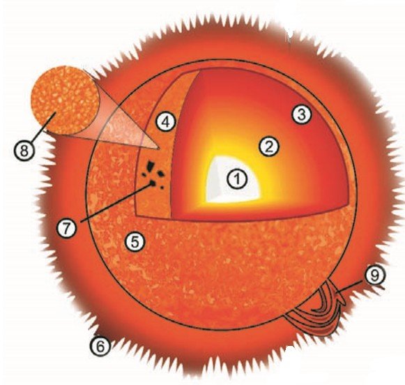 Строение солнца схема 11 класс