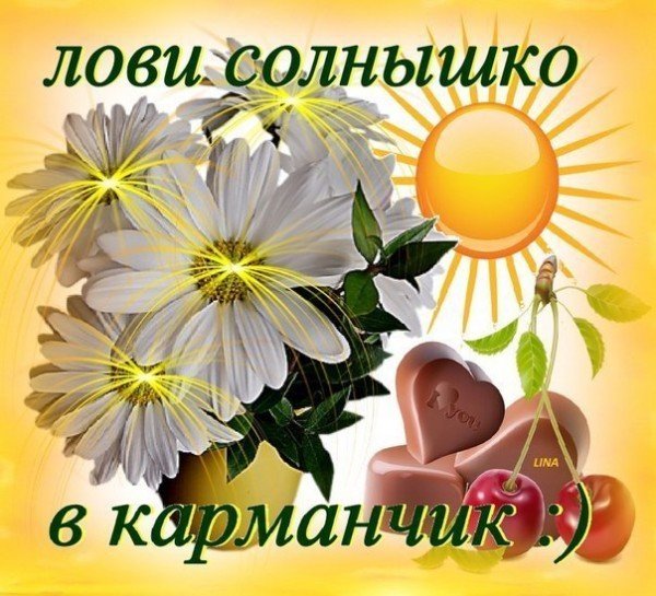 Солнечного дня и хорошего настроения прикольные