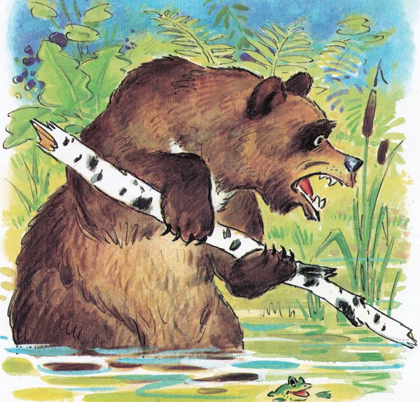 Медведь на солнышке