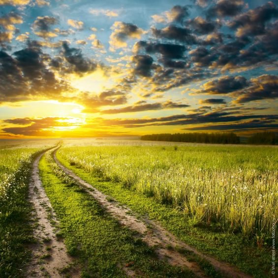 Летняя дорога