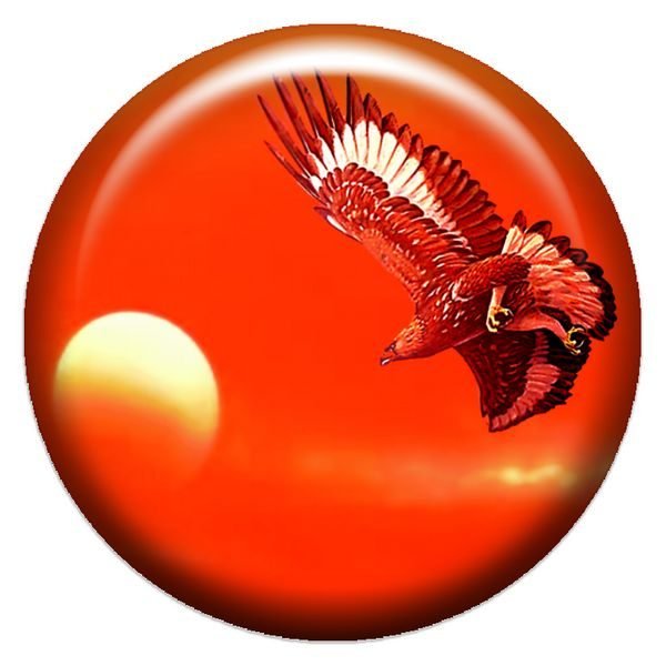 Орел взлетающий над солнцем со словами