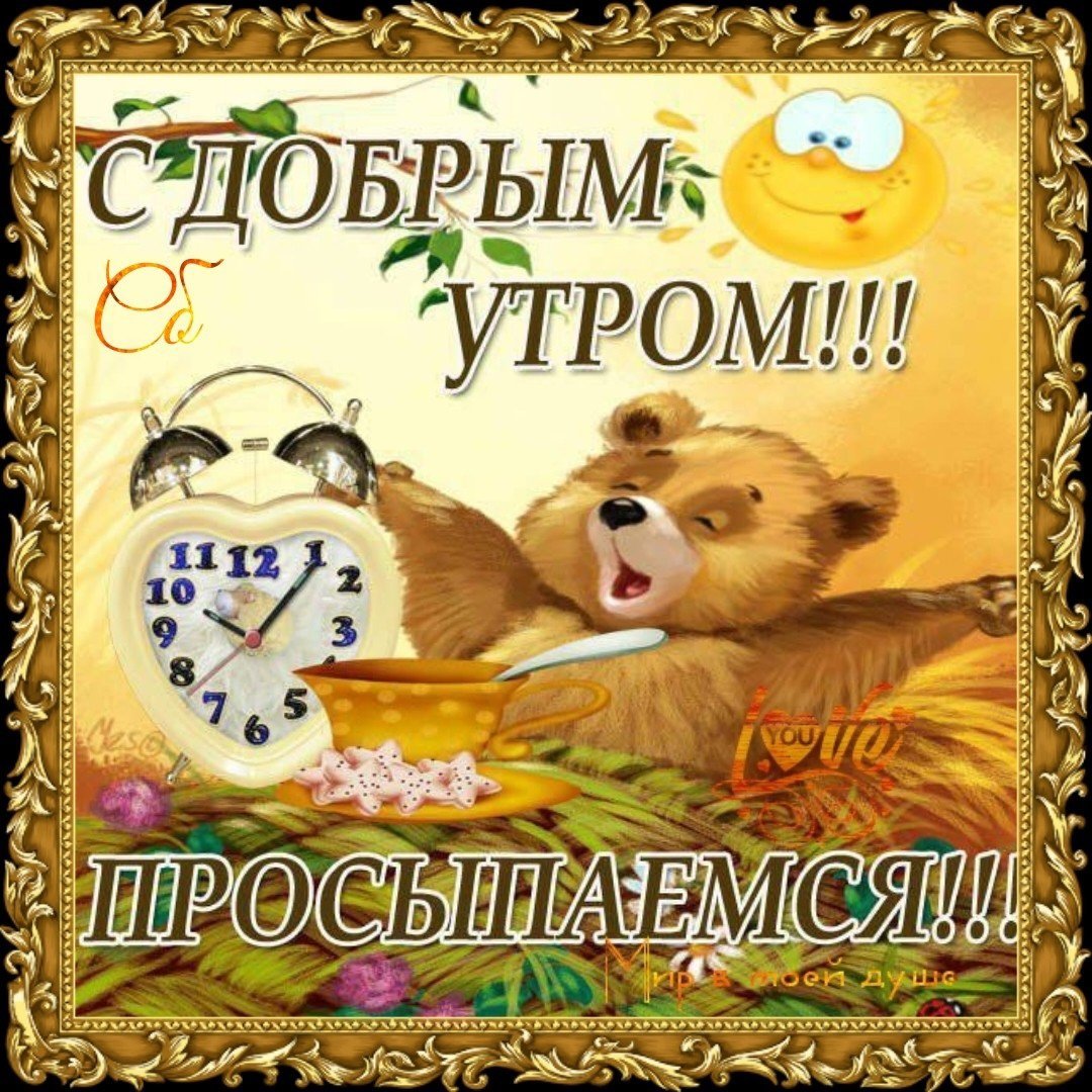 Проснулись с добрым утром картинки красивые. Открытки с добрым утром прикольные. пожелания доброго утра прикольные. открытка с добрым утром. просыпайся. проснулись с добрым утром.