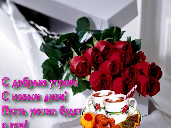 Желтые розы с добрым утром