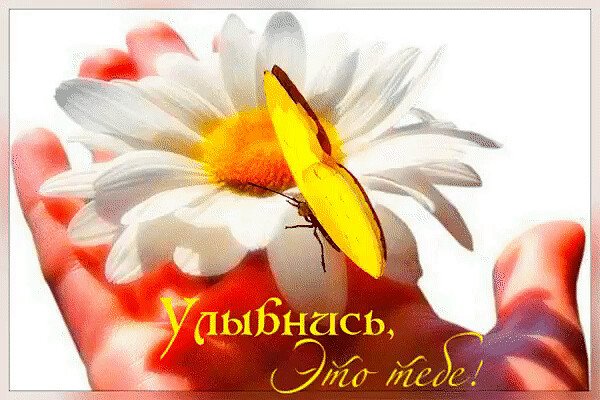 Солнечного настроения и удачи
