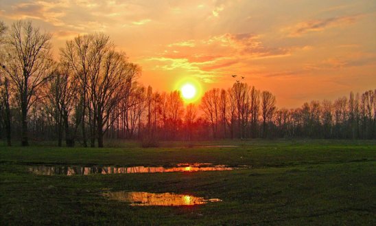 Природа ранней весной