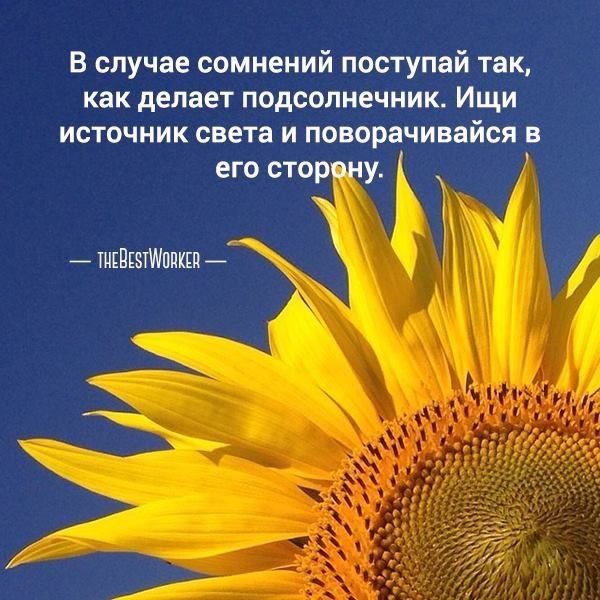 Банный лист