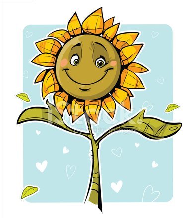 Подсолнухи и солнце