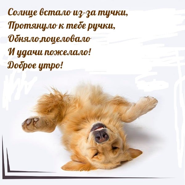 Четверостишье любимой девушке для поднятия настроения