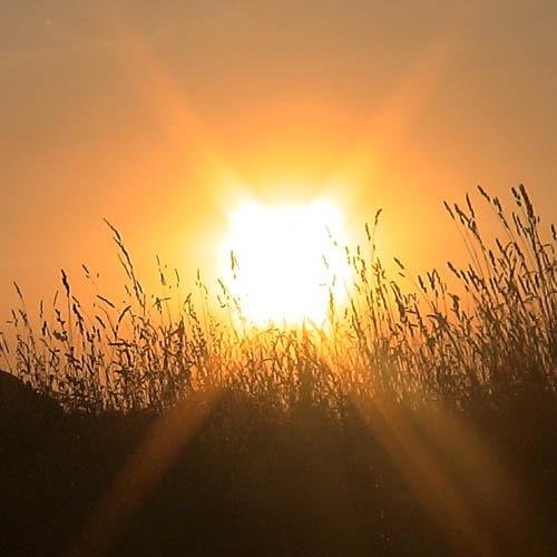 Солнце в пустыне