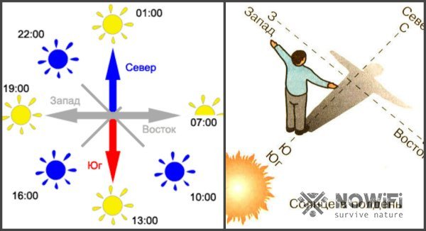 Солнечное утро