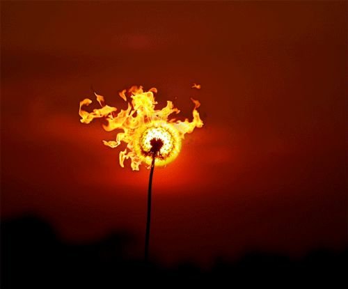 Огненное солнце