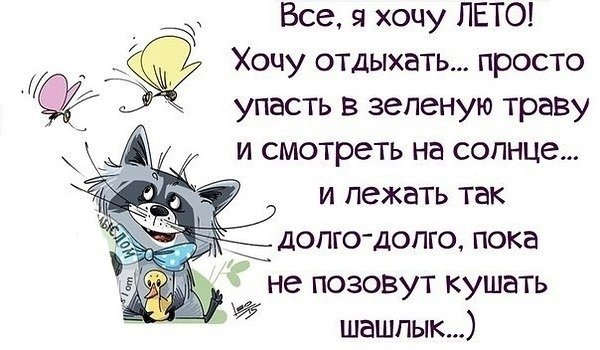 Хочу лето цитаты