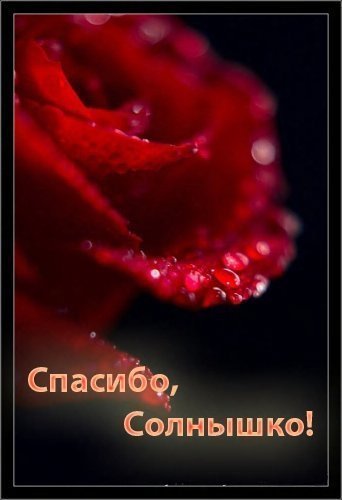 Спасибо солнышко