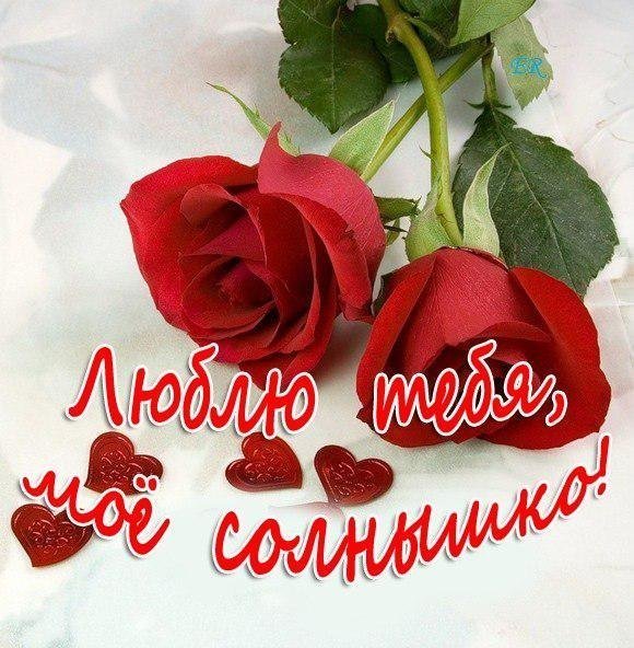 Я тебя люблю мой родной