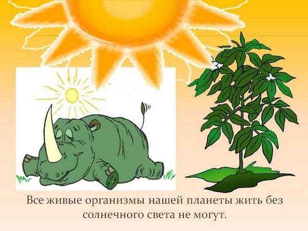 Роль солнца в жизни