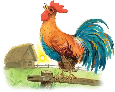 Петушок сидит на заборе