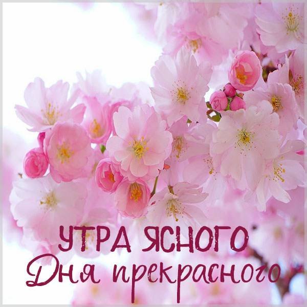 Утра ясного дня прекрасного