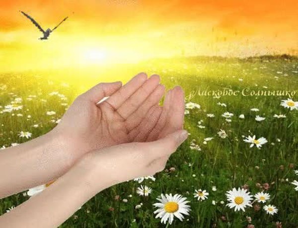 Доброе солнечное утро