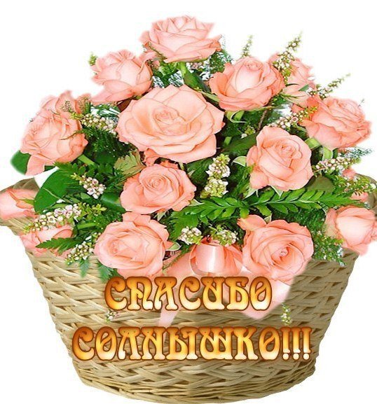 Открытки спасибо солнышко