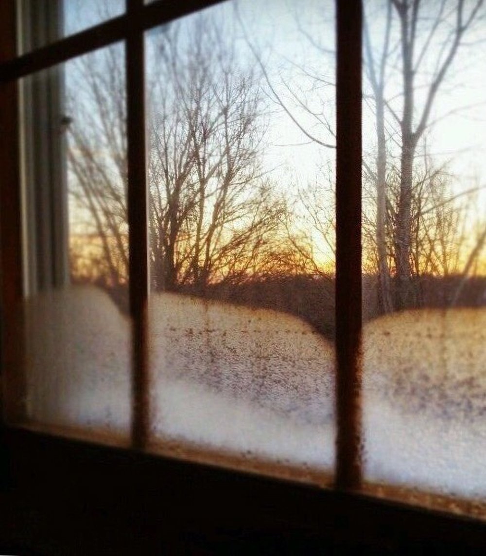 Ветка стучит в окно. Зимнее окно. Пейзаж за окном. Окно зимой. Зимнее солнце в окне.