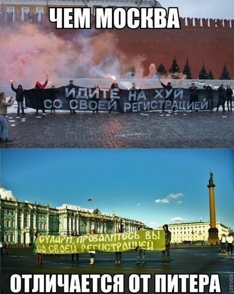 Лето в Питере юмор