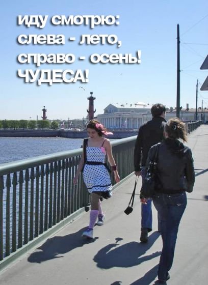 Приколы про Питер