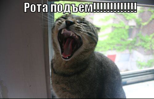 Подъем Ноты