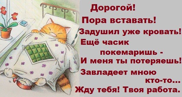 Пришли мне открытки с добрым утром