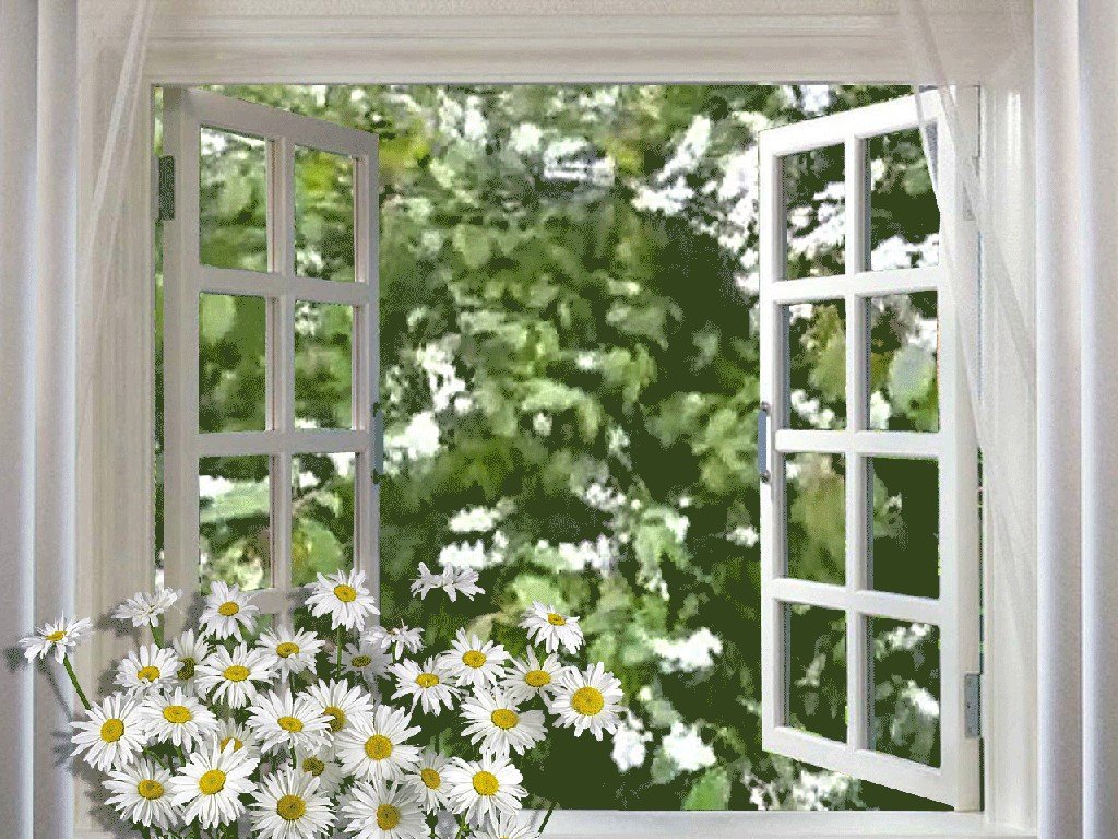 Вновь открытое окно