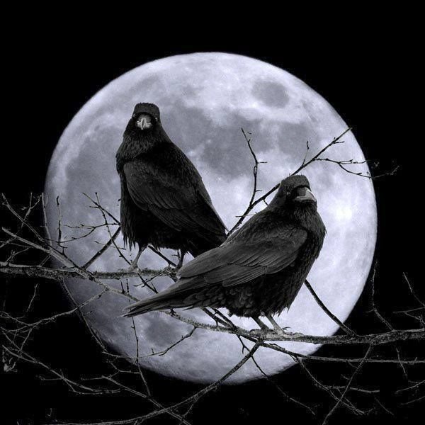 Ворон и Луна