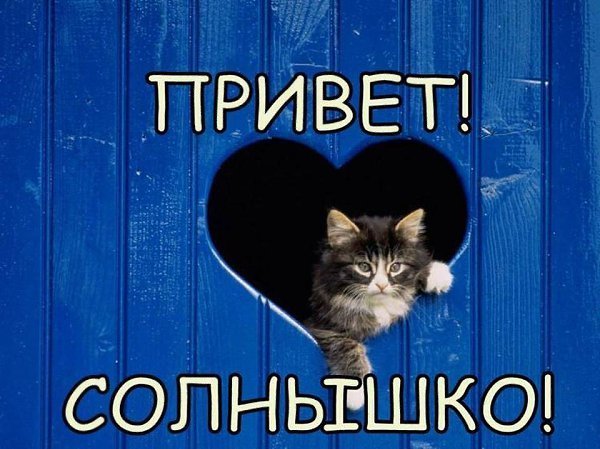 Тебе Солнечный приветик