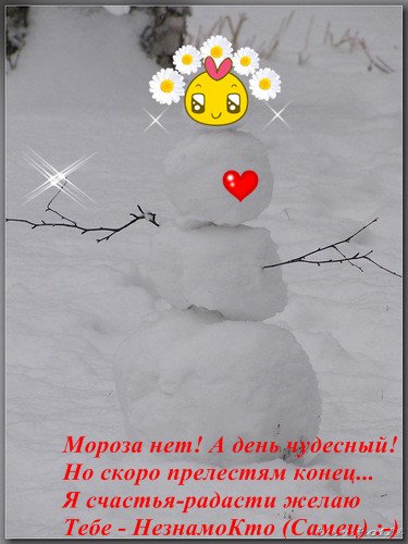 Мороз и солнце день чудесный картинки прикольные