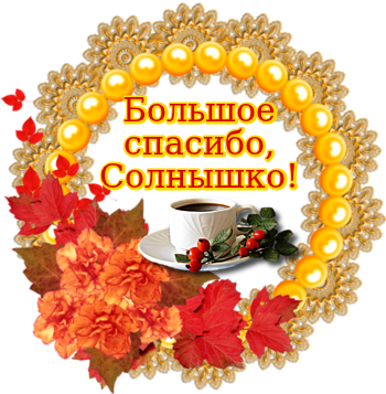 Спасибо солнышко